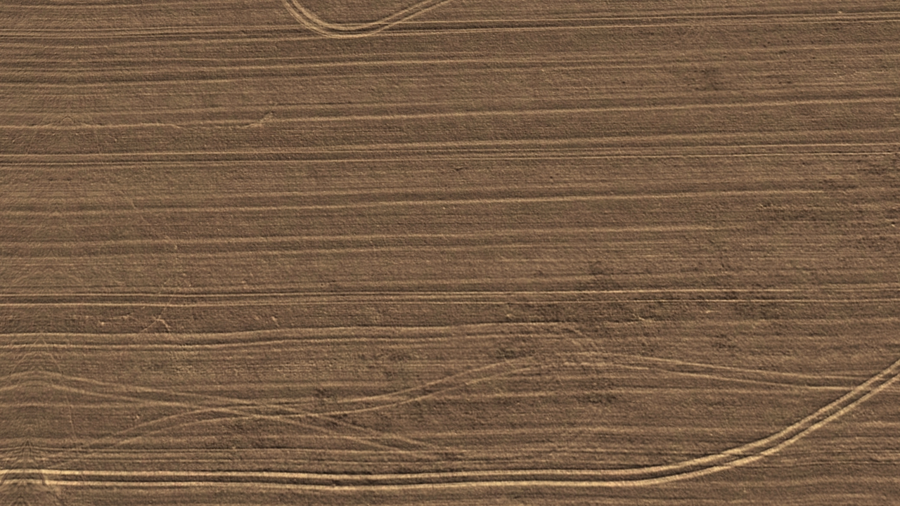 Field tracks surfaces_1