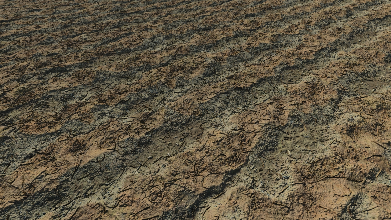 Fallow soils_0