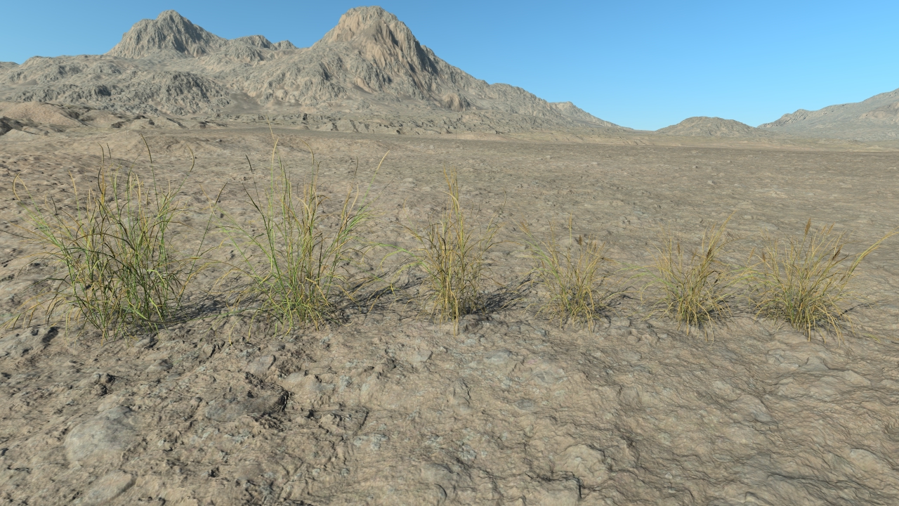 Summertime long grass_1