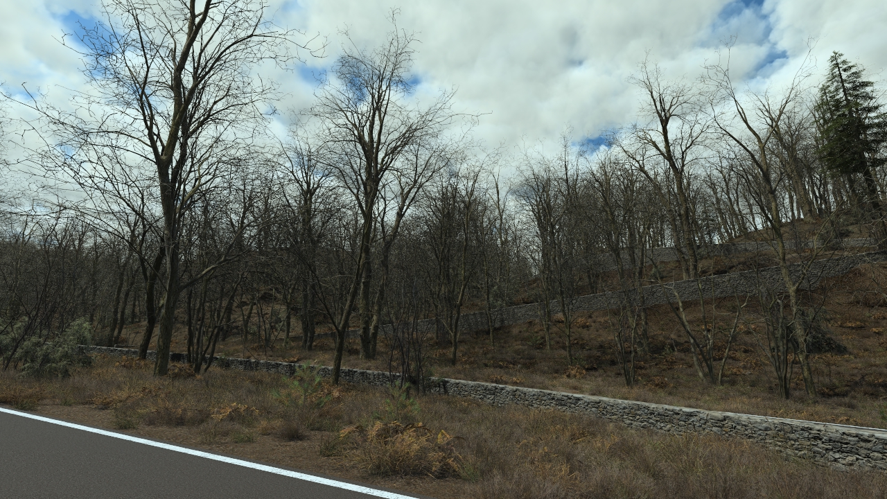 Oak Forest In Winter_2