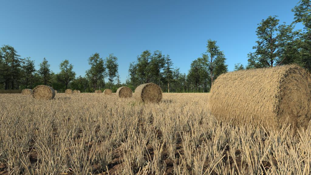 Hay bales