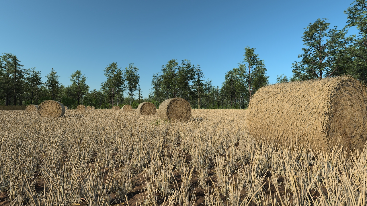 Hay bales_0