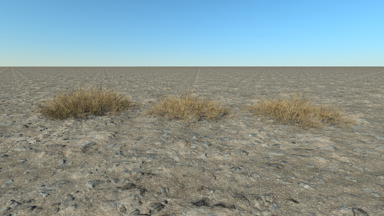 Dead Grass Patches_2