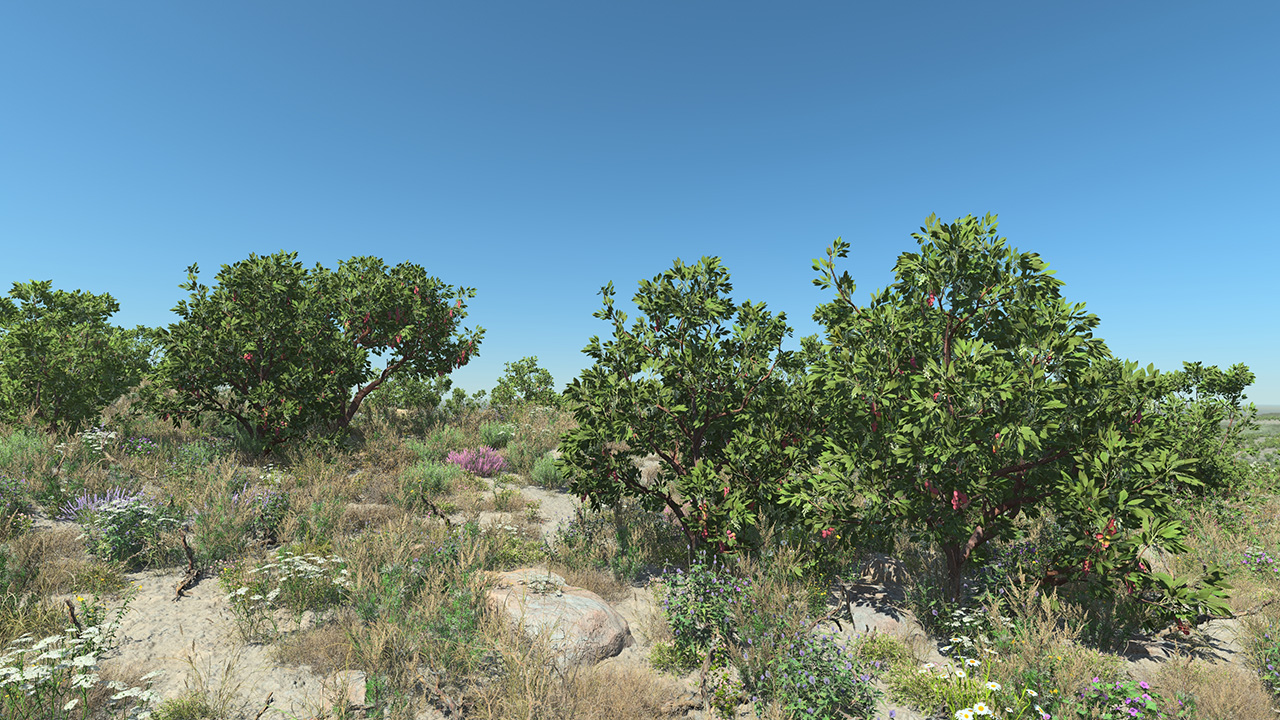 Strawberry Trees_1