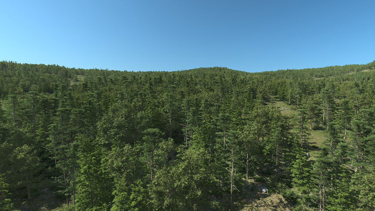 South Of France Mixed Forest_2