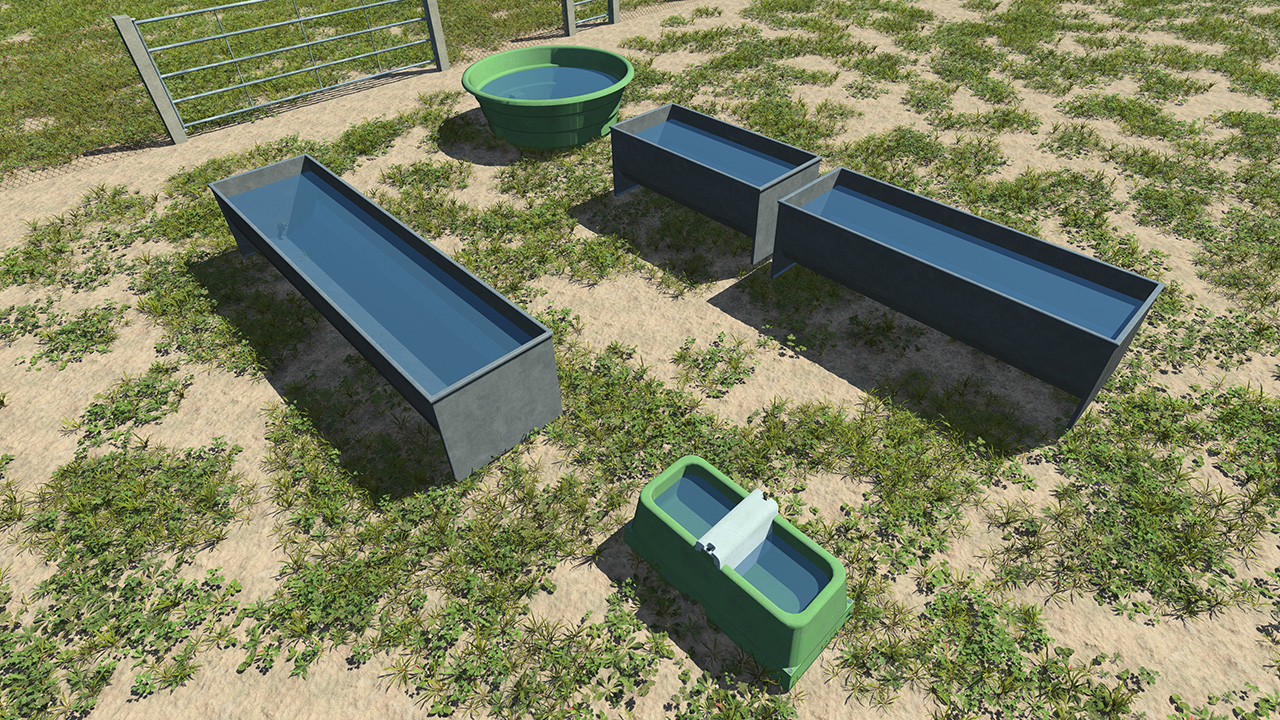 Animal Feeders_4