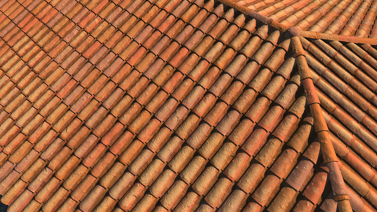 Old terracotta roof tiles_1