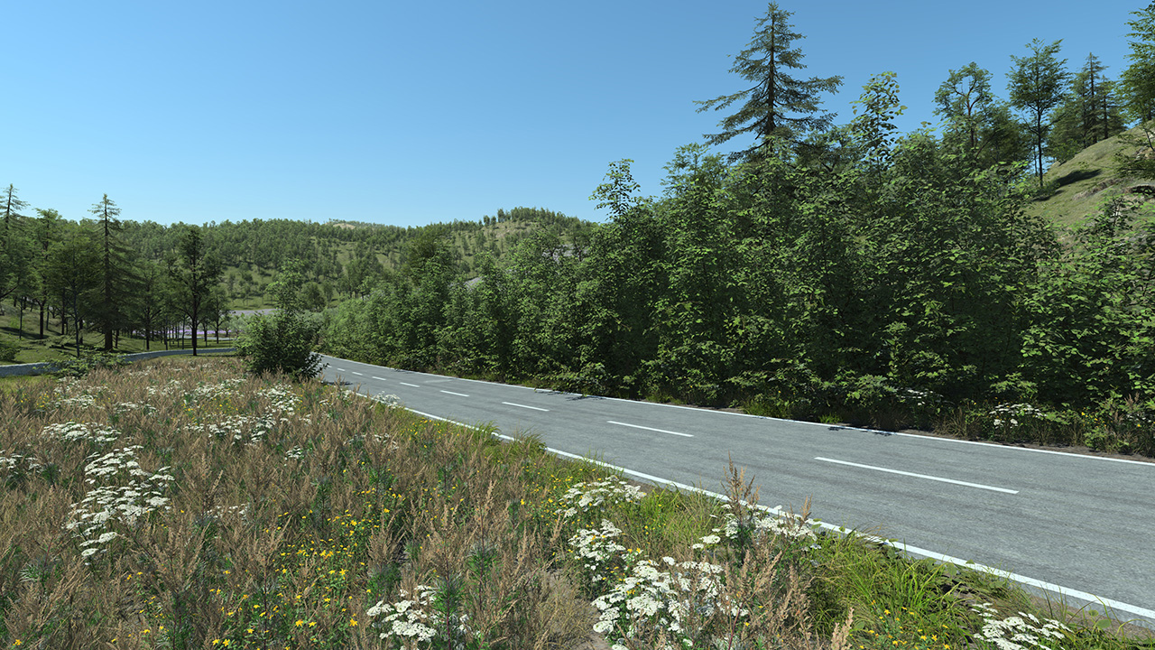Rural Roadside Biome_0