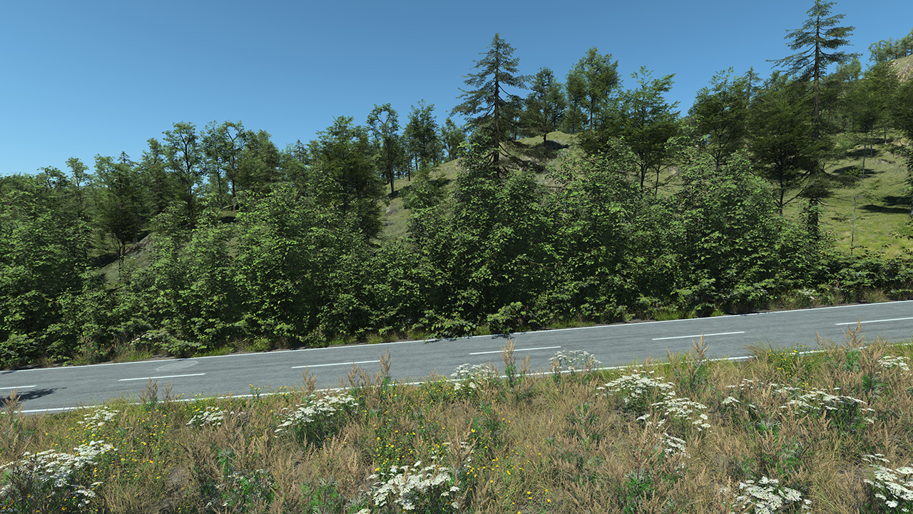 Rural Roadside Biome_2