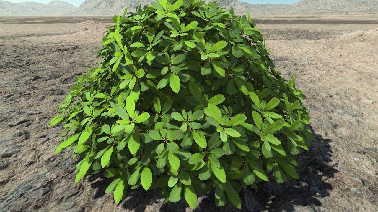 Ornamental rhododendrons_3