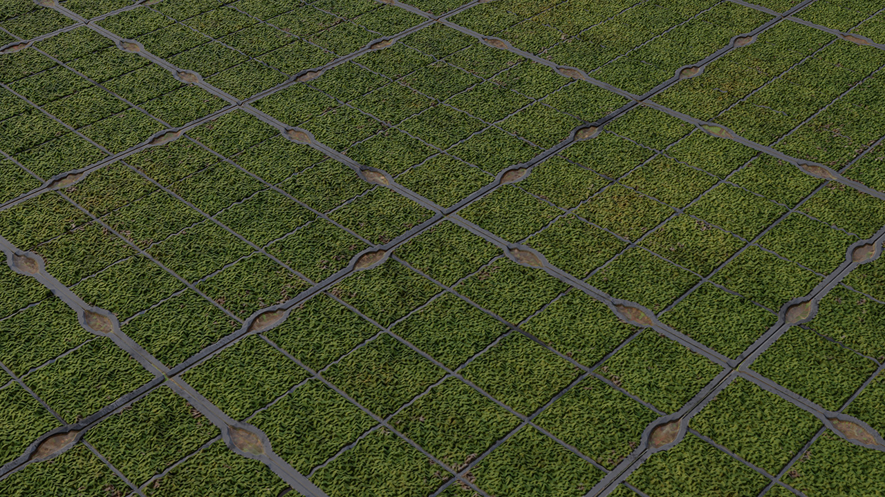 Grass pavements_4