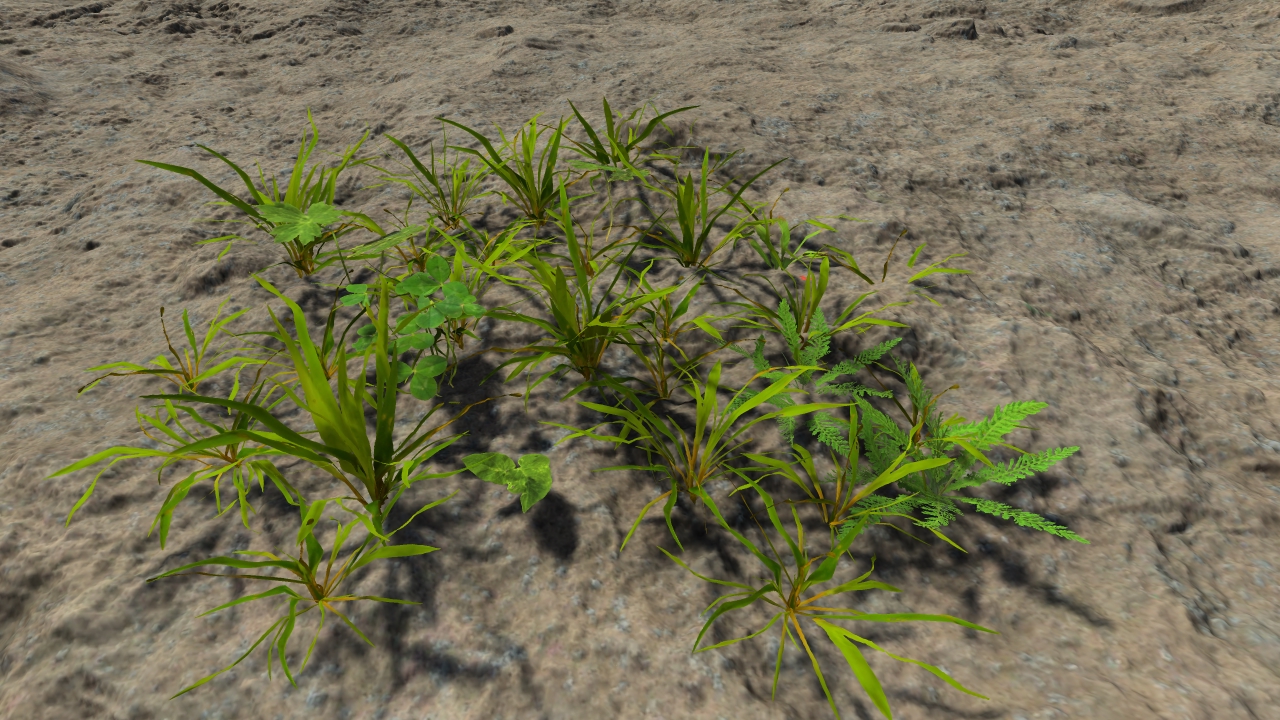 Lawn grass patches_0