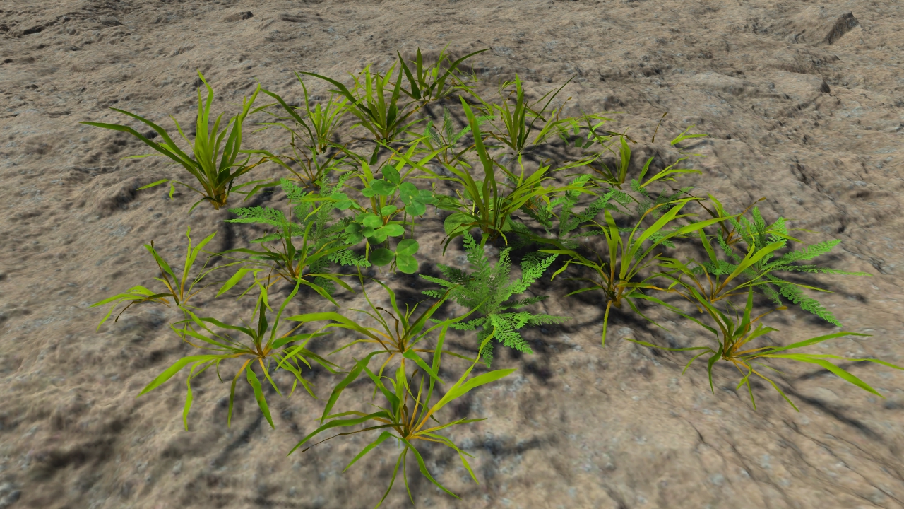 Lawn grass patches_1