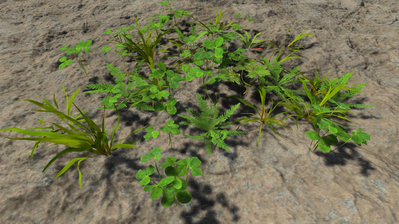 Lawn grass patches_2