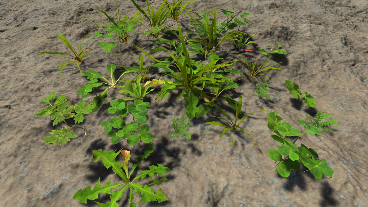 Lawn grass patches_3