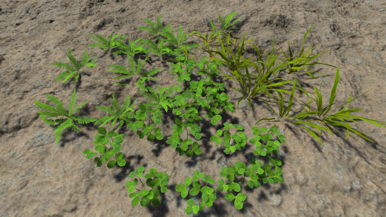 Lawn grass patches_5