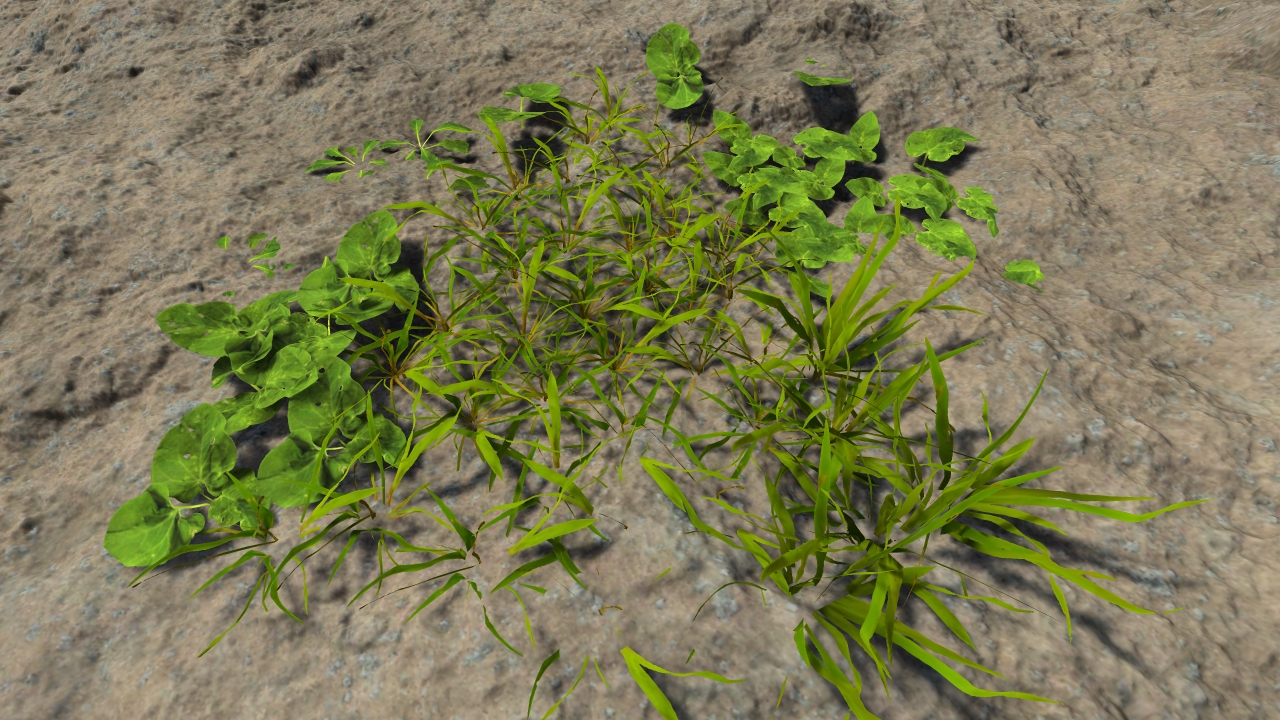 Lawn grass patches_6