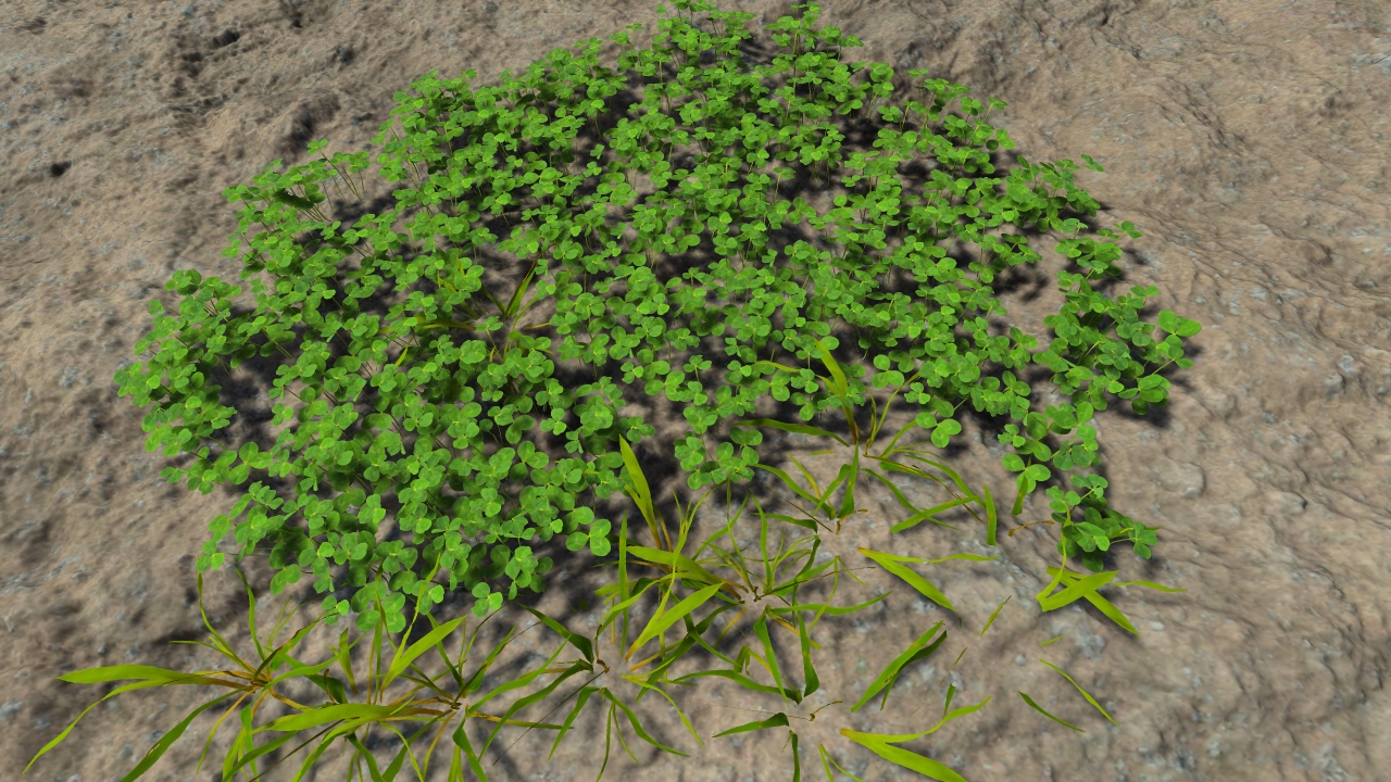 Lawn grass patches_8