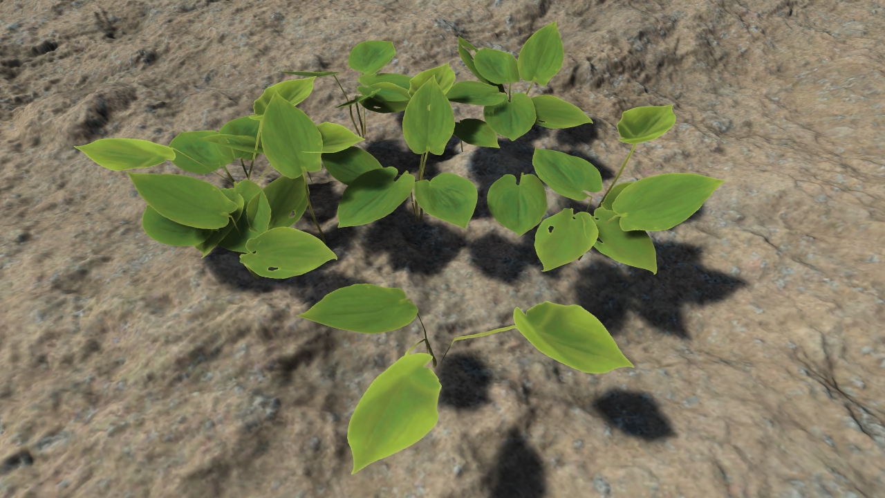 Small forest plants_0