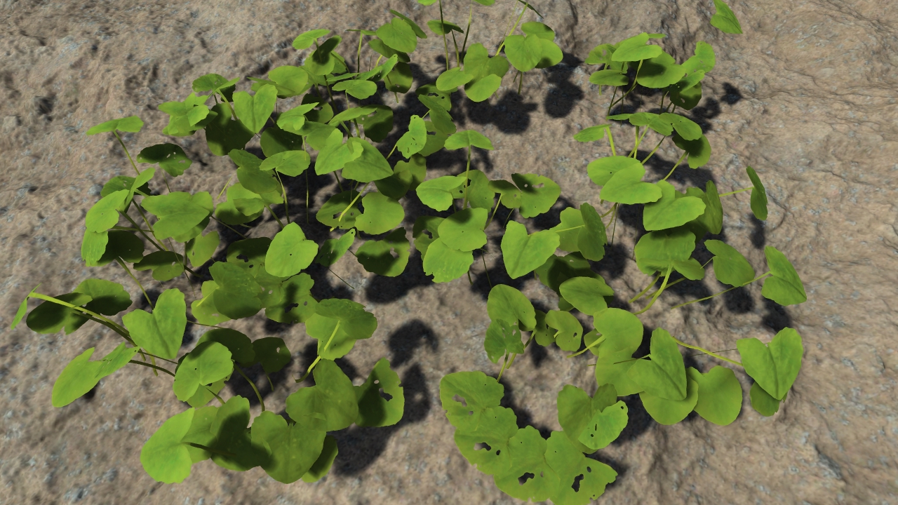 Small forest plants_2