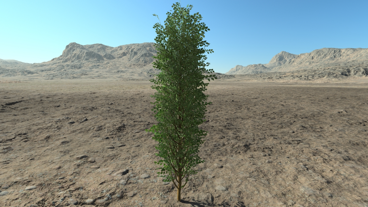 High spiraea hedge_0