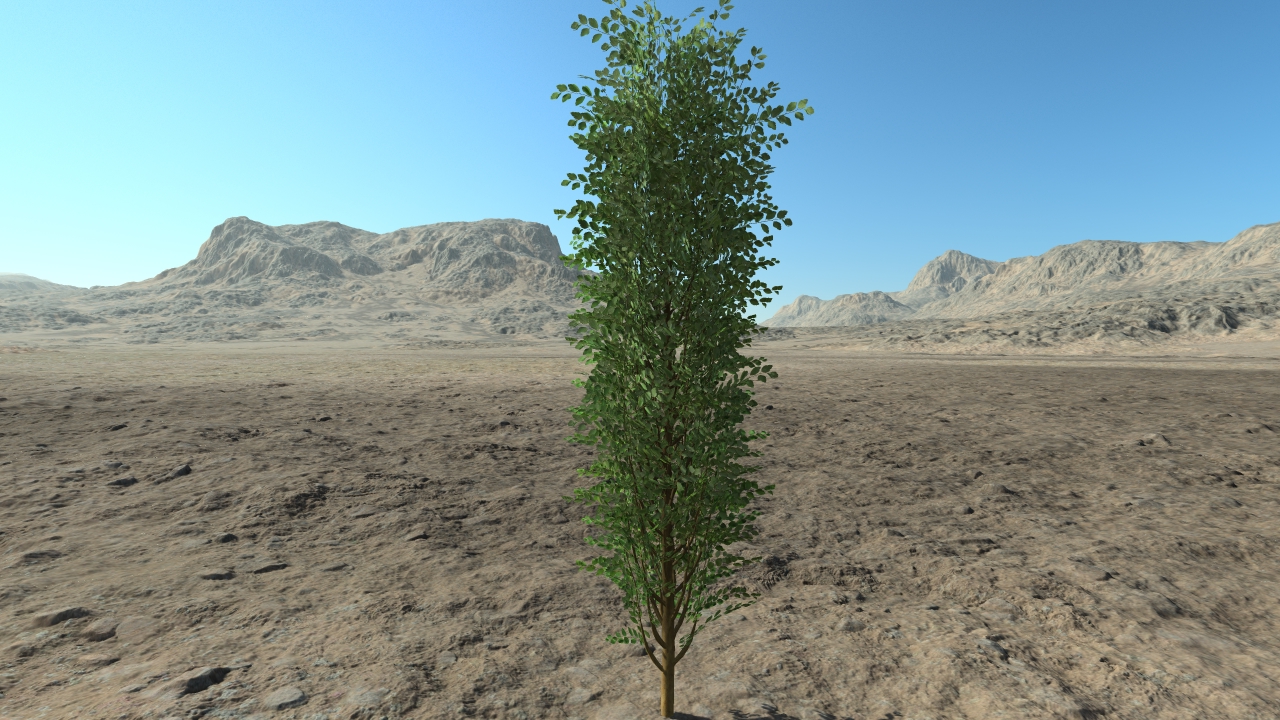 High spiraea hedge_1