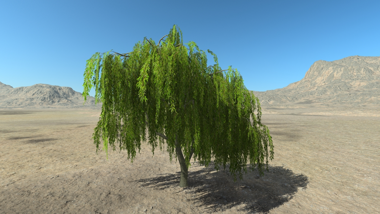 Summer weeping willows_5