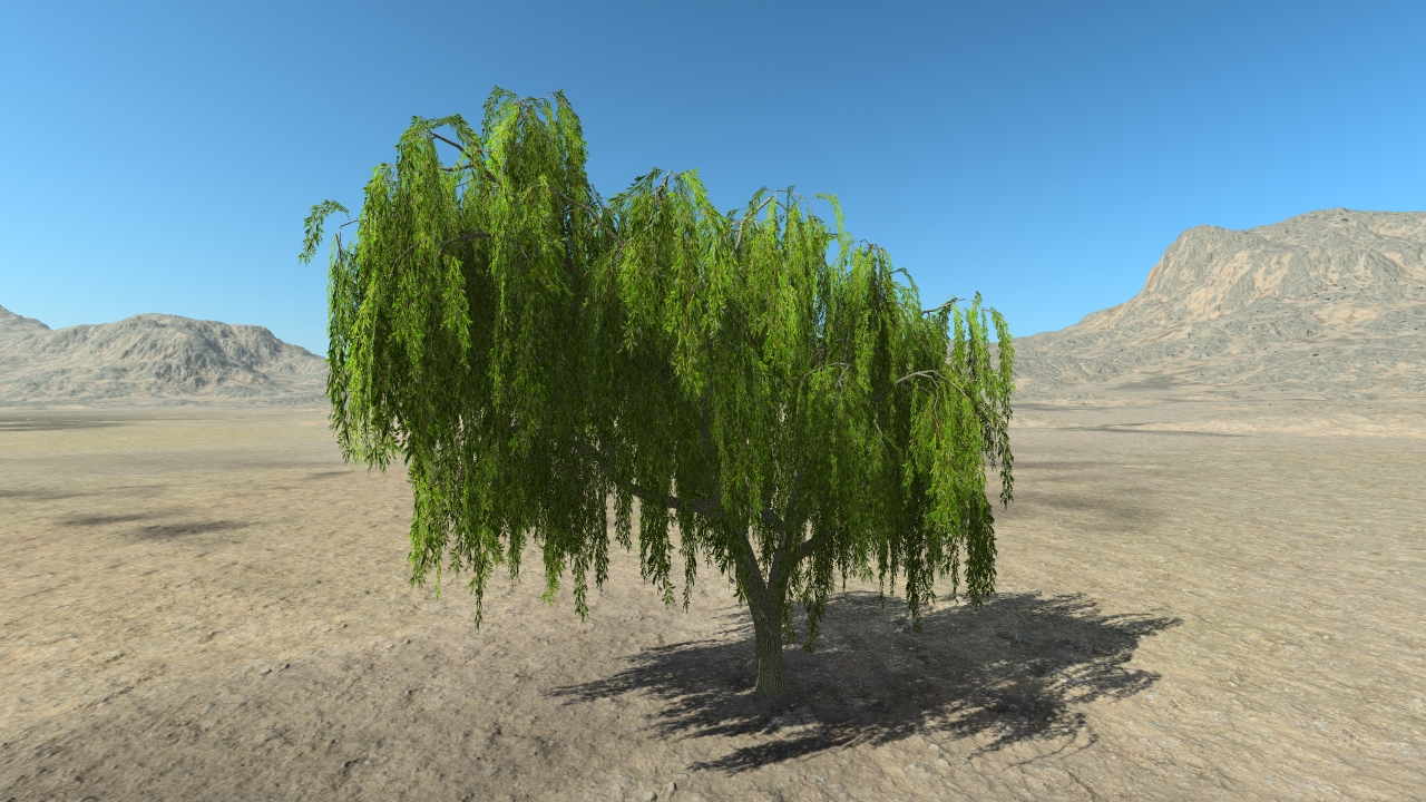 Summer weeping willows_6